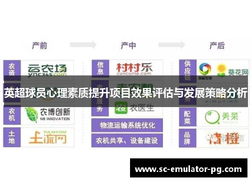 英超球员心理素质提升项目效果评估与发展策略分析
