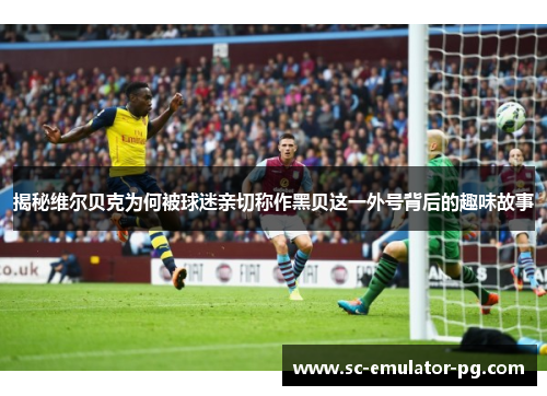 揭秘维尔贝克为何被球迷亲切称作黑贝这一外号背后的趣味故事 揭秘维尔贝克为何被球迷亲切称作黑贝这一外号背后的趣味故事