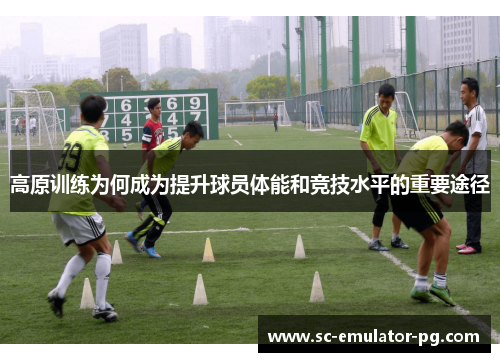 高原训练为何成为提升球员体能和竞技水平的重要途径